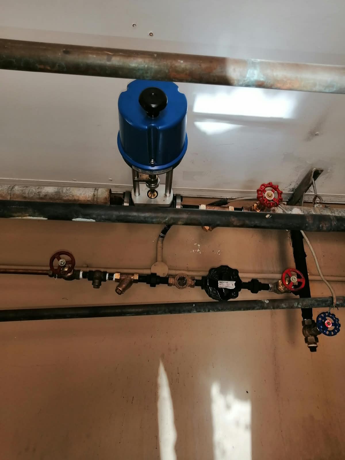 Project image